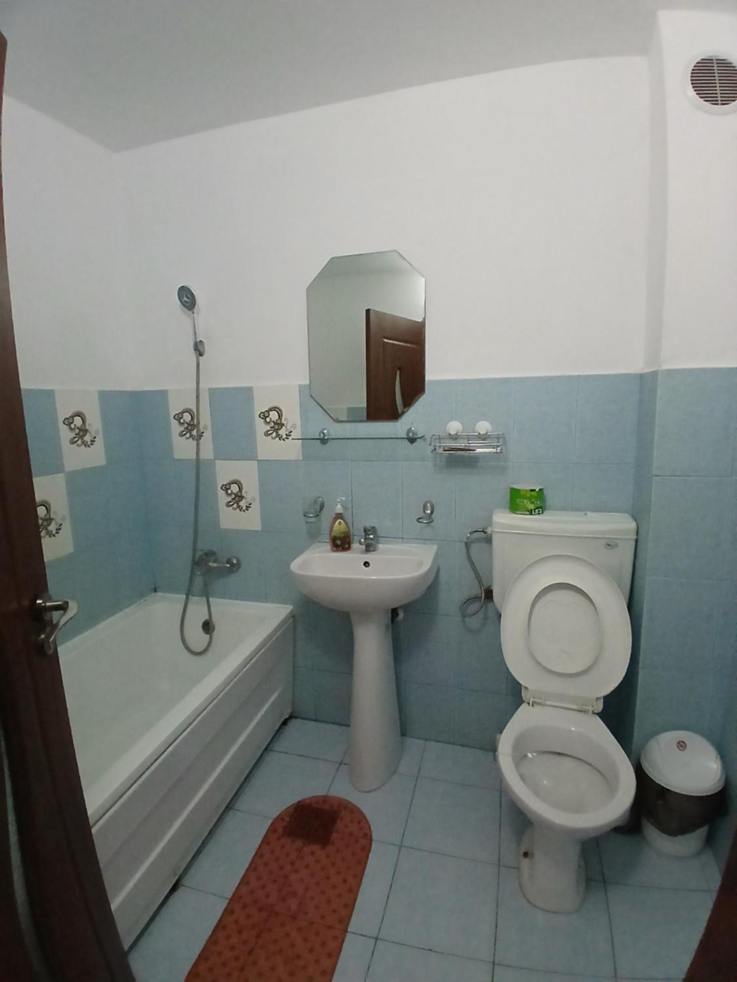 Casa Rustica Apart & Rooms Cîmpineanca Extérieur photo