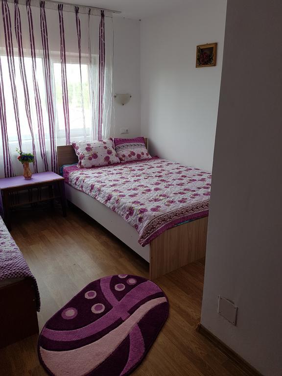 Casa Rustica Apart & Rooms Cîmpineanca Extérieur photo