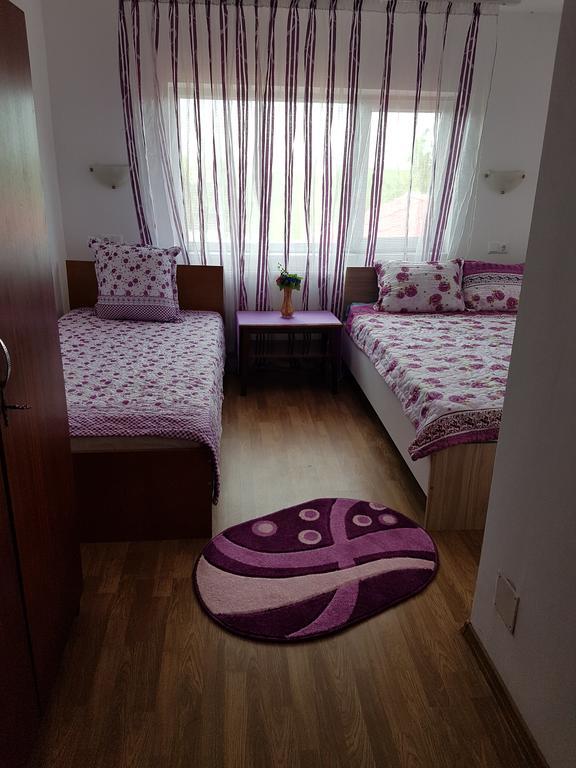 Casa Rustica Apart & Rooms Cîmpineanca Extérieur photo