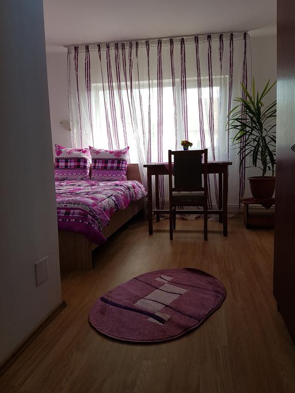 Casa Rustica Apart & Rooms Cîmpineanca Extérieur photo